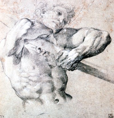 Studie obrázku, c1575-1619 od Lodovico Carracci