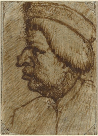 Profil muže od Lombard 16th Century