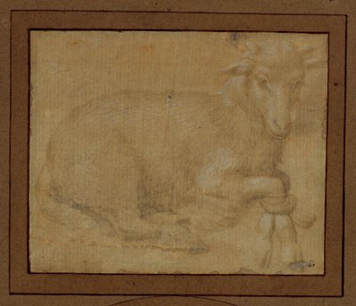 Studie jehněte ... od Lorenzo di Credi