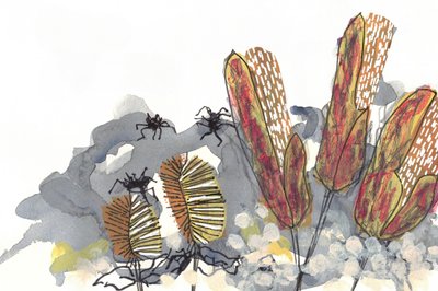 Botanické pavouky rodu Banksia od Lori Ann Folz