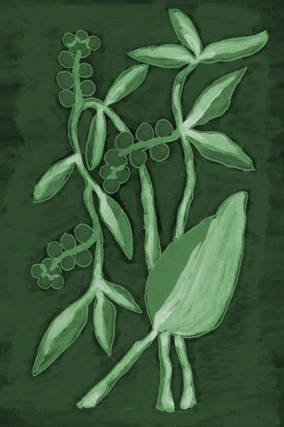 Botanické odstíny zelené od Lori Ann Folz