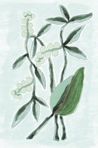 Zelená botanická akvarelová barva od Lori Ann Folz