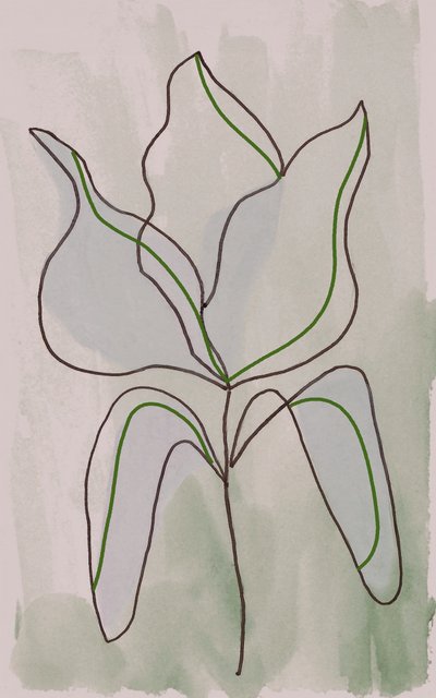 Minimalistický botanický náčrt od Lori Ann Folz