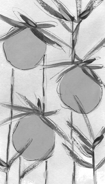 Organic Ink Botanicals od Lori Ann Folz