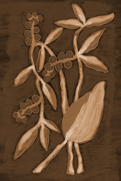 Organické produkty Sepia Botanicals od Lori Ann Folz