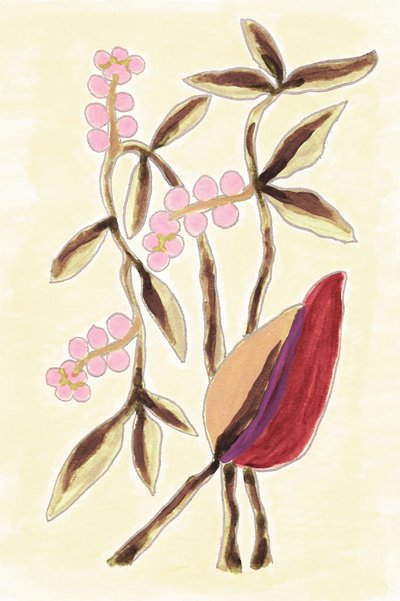 Pink Berry Botanicals od Lori Ann Folz