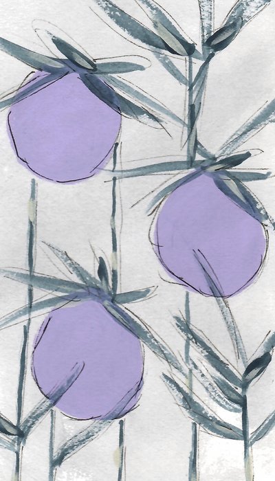 Fialové botanické plody od Lori Ann Folz