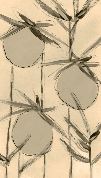 Bavlníkové rostliny „Sepia“ od Lori Ann Folz