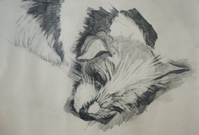 Jack Russel, 2015, od Lou Gibbs