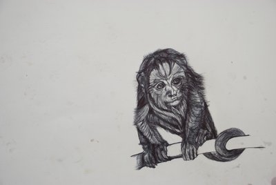 Monkey Business,2016,(bic biro na papíře) od Lou Gibbs