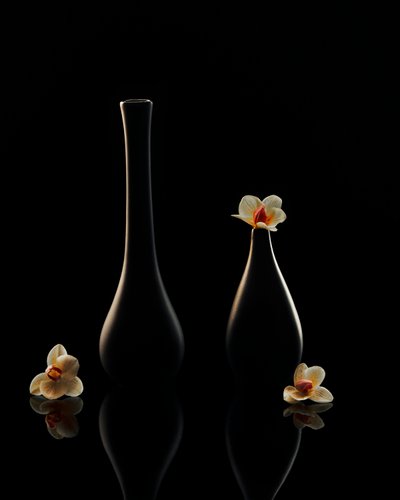 Elegantní odlesky orchidejí od Louie Luo