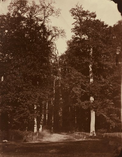  od Louis-Rémy Robert