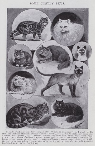 Některá nákladná domácí zvířata (litho) od Louis (after) Wain