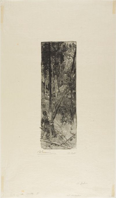 Falling Pines od Louis Auguste Lepère