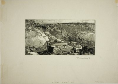 Le Cirque du Long-Rocher od Louis Auguste Lepère