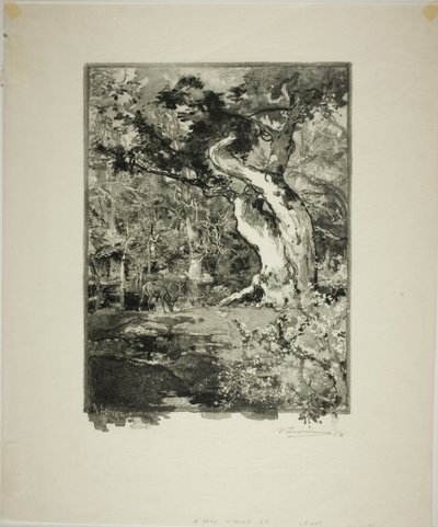 Le Clovis, Plateau de Bellecroix od Louis Auguste Lepère