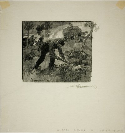 Extraktory kořenů od Louis Auguste Lepère