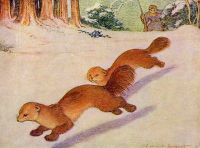 V zoo: Martens (barevné lito) od Louis Augustus Sargent
