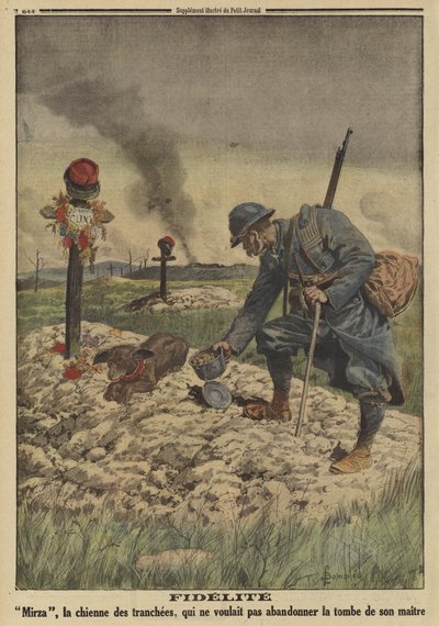 Loajalita: Francouzský armádní pes odmítá opustit hrob svého mrtvého pána, první světová válka od Louis Charles (after) Bombled