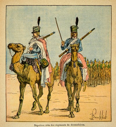 Ilustrace Bombled Louis (1862-1927) z knihy „Památník svaté Heleny“ od hraběte Emmanuela de Las Cases (1766-1842): Během egyptského tažení vytvořil Napoleon Bonaparte pluky velbloudů, soukromá sbírka od Louis Charles Bombled