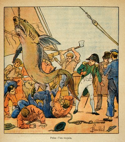 Ilustrace Bombled Louis (1862-1927) z knihy „Památník sv. Heleny“ od hraběte Emmanuela de Las Cases (1766-1842): Císař Napoleon se účastní zachycení žraloka na palubě Northumberland, Soukromá sbírka od Louis Charles Bombled