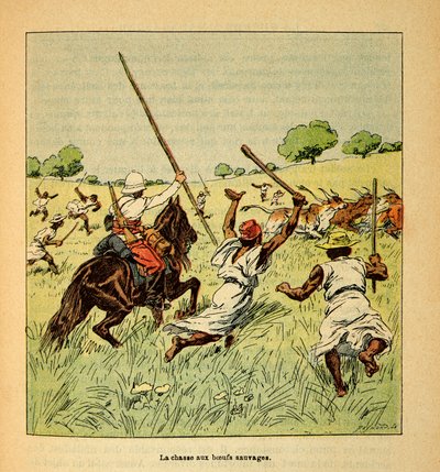 Válka na Madagaskaru - neoficiální historie francouzských expedic 1885-1895 od Henri Galli dit Galllichet (1854-1922), ilustrované Louisem Bombledem (1862-1927): Lov divokých volů na Madagaskaru v roce 1895, Soukromá sbírka od Louis Charles Bombled