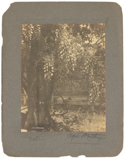 Tiffany Studios, cca 1898-1920 (fotografie č/b) od Louis Comfort Tiffany