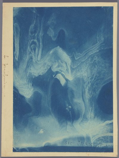Le transformisme / Sic tranzit (název na objektu) od Louis Ducos du Hauron (attributed to)