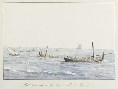 Koraalvissers veor de kust van Sicilië ter hoogte van Terra Nuova Lov korálů na pobřeží Sicílie směrem k Terra Nuova (název na objektu) Cesty po Itálii, Sicílii a Maltě - 1778 (název série) od Louis Ducros