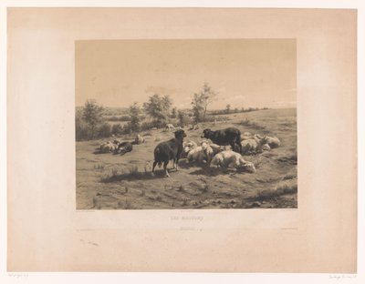 Ovce na louce Les moutons (název na objektu) od Louis Emmanuel Soulange Teissier