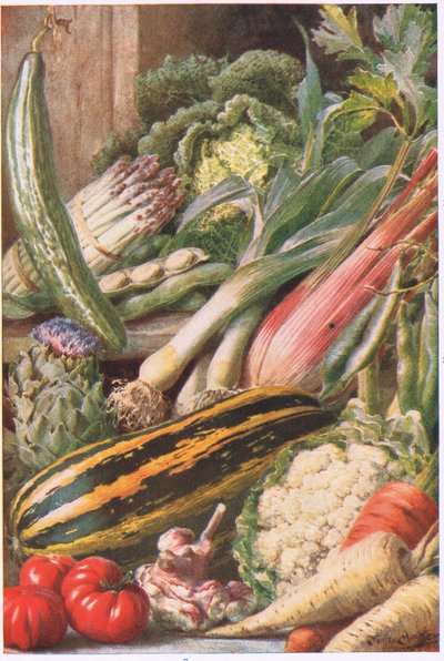 Garden Vegetables, ilustrace z 