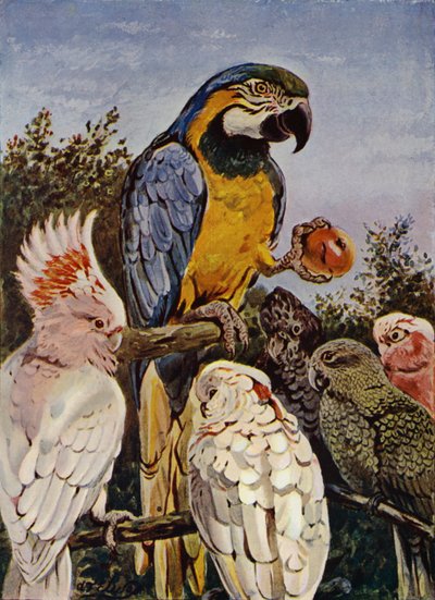 "Kdo mi kousl jablko?" (barva lito) od Louis Fairfax Muckley