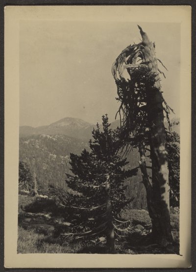 [Abe Lincoln Peak] od Louis Fleckenstein