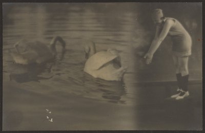 [Kompozice labutí a potápěče] od Louis Fleckenstein