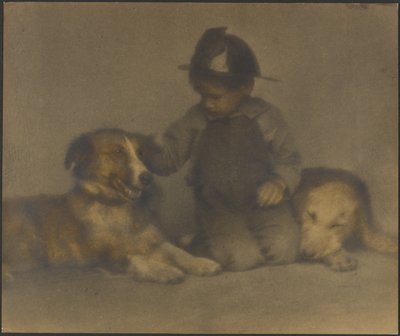 Soudruzi od Louis Fleckenstein