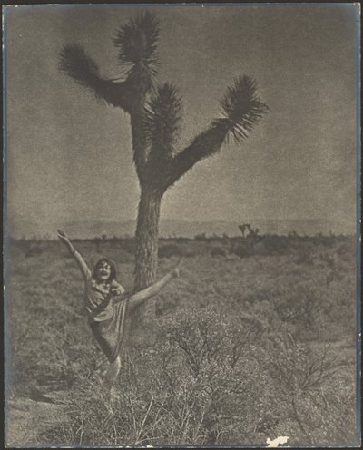 [Tanečnice v Joshua Tree] od Louis Fleckenstein