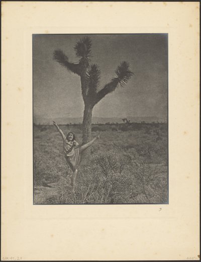 [Tanečnice v Joshua Tree] od Louis Fleckenstein