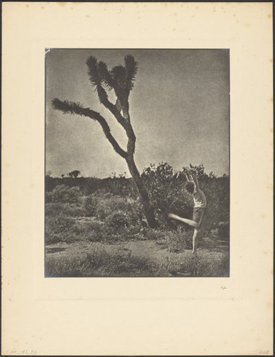 [Tanečnice v Joshua Tree] od Louis Fleckenstein