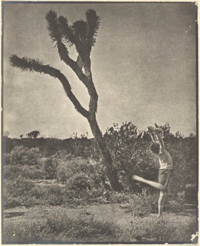 [Tanečník u Joshua Tree] od Louis Fleckenstein