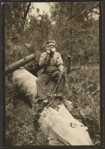 [Fleckenstein on a Log] od Louis Fleckenstein