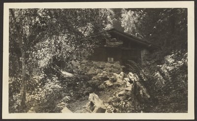 [Forest Lodge] od Louis Fleckenstein