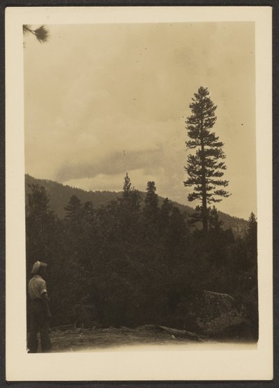 [Idyllwild] od Louis Fleckenstein