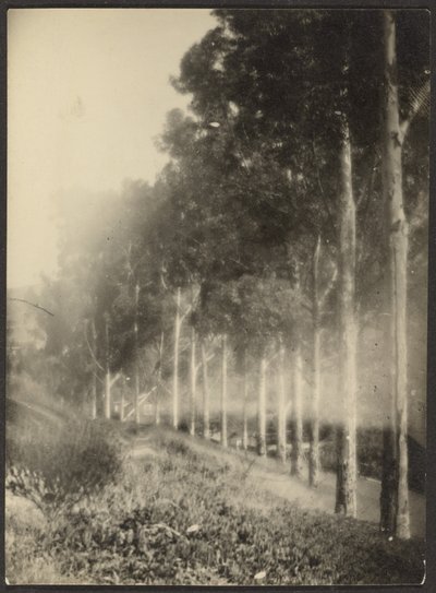  od Louis Fleckenstein