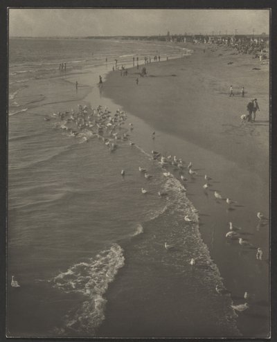 Newport Beach od Louis Fleckenstein