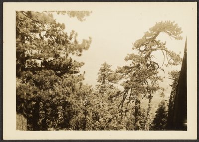 [Santa Rosa Peak] od Louis Fleckenstein