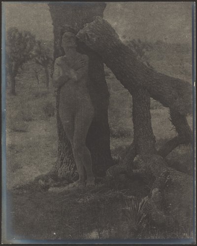 Duch Jozue od Louis Fleckenstein