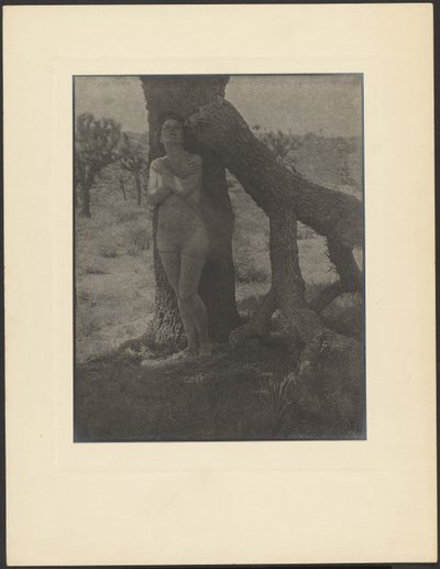 Duch Jozue od Louis Fleckenstein