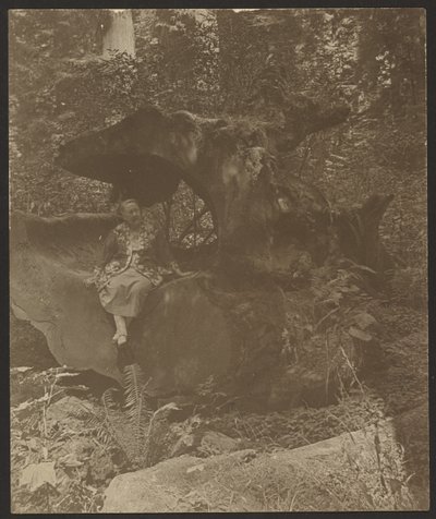  od Louis Fleckenstein