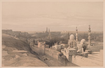 Egypt a Núbie: Svazek III – č. 26, Káhira, Pohled na západ od Louis Haghe