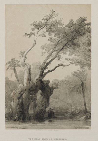 Egypt a Núbie, svazek III: Svatý strom Metereah, 1849. od Louis Haghe
